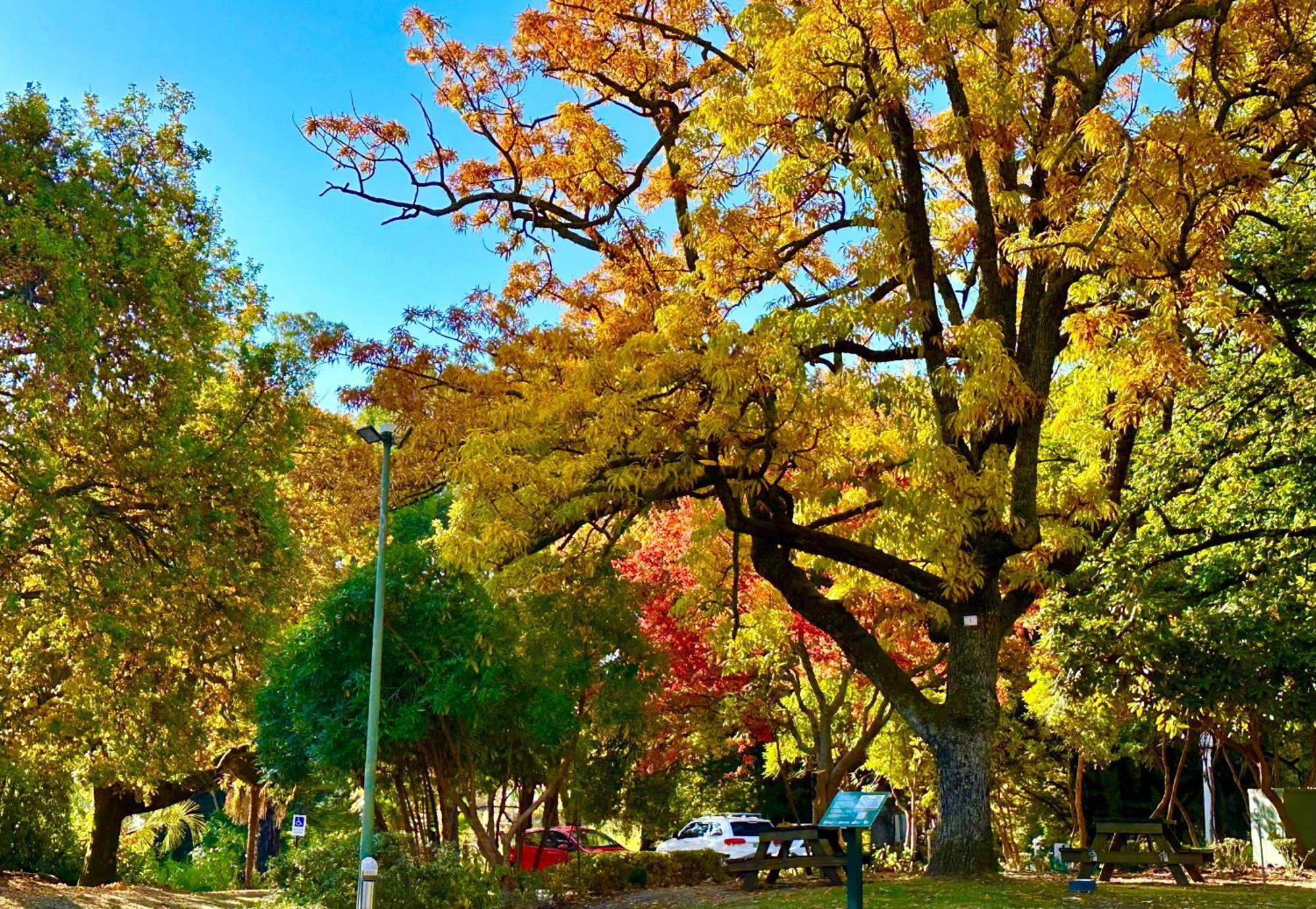 The Grand Oaks Resort Beechworth Buitenkant foto