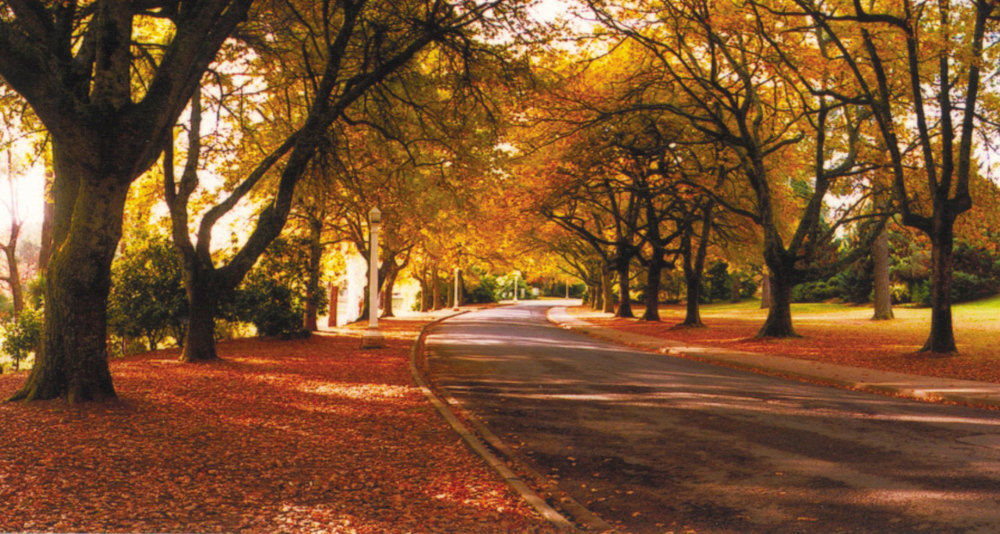 The Grand Oaks Resort Beechworth Buitenkant foto